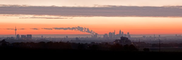 Die Skyline von Frankfurt am Main